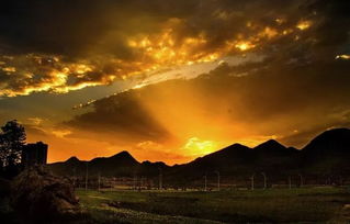 浮云游子意，落日故人情 古詩詞中的思鄉與友情